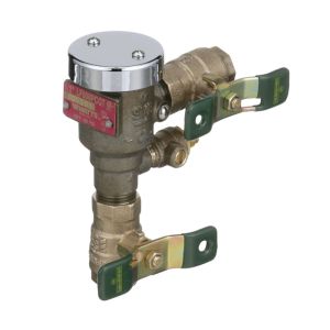 Watts 1/2" Vacuum Breaker Backflow Preventer